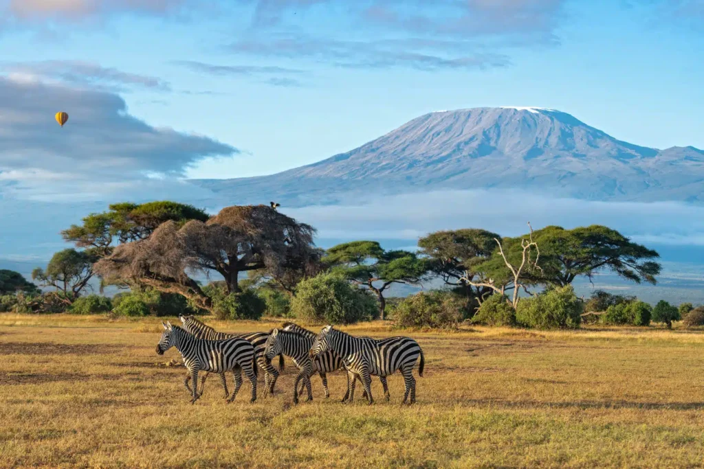 The Best Luxury Lodges and Mobile Camps in the Masai Mara: A Definitive Guide for 2027
