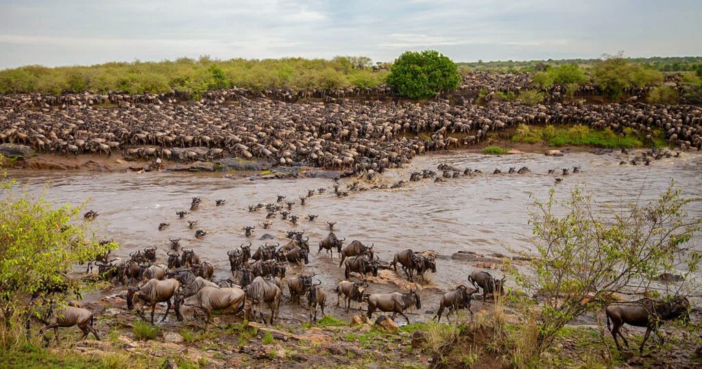 The Best Luxury Lodges and Mobile Camps in the Serengeti: A Definitive Guide for 2027