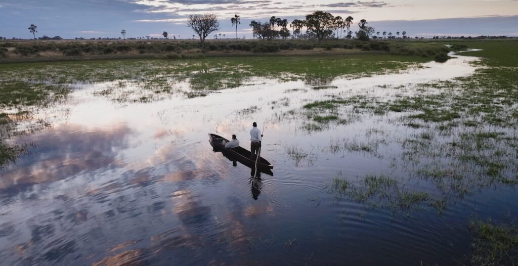 A Safari Symphony in Botswana's Wild Heart: Exploring the Okavango Delta