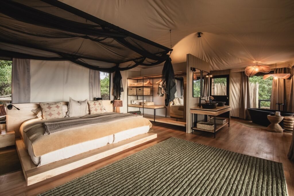 A Safari Symphony in Botswana's Wild Heart: Exploring the Okavango Delta