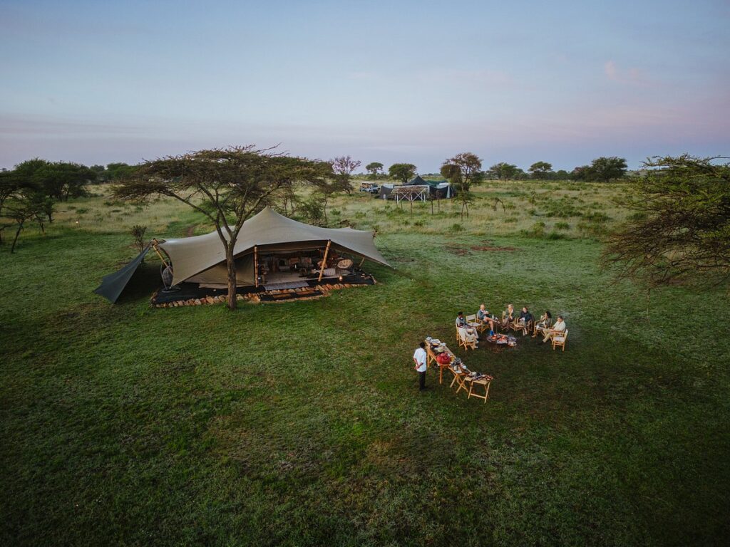 The Best Luxury Lodges and Mobile Camps in the Serengeti: A Definitive Guide for 2027