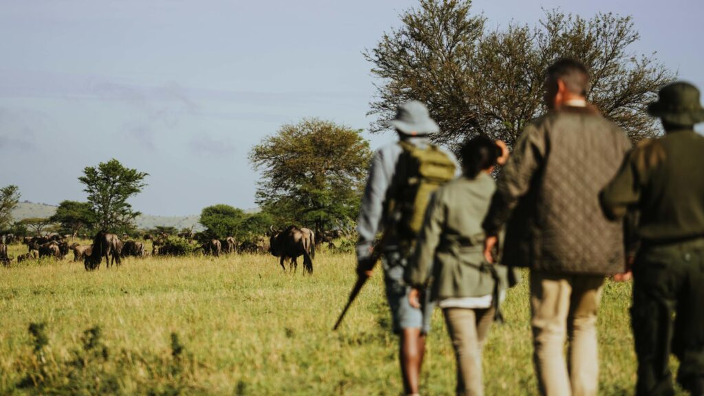 The Best Luxury Lodges and Mobile Camps in the Serengeti: A Definitive Guide for 2027