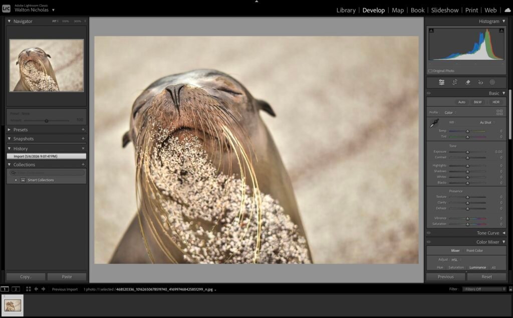Photography Tips for the Galápagos Islands