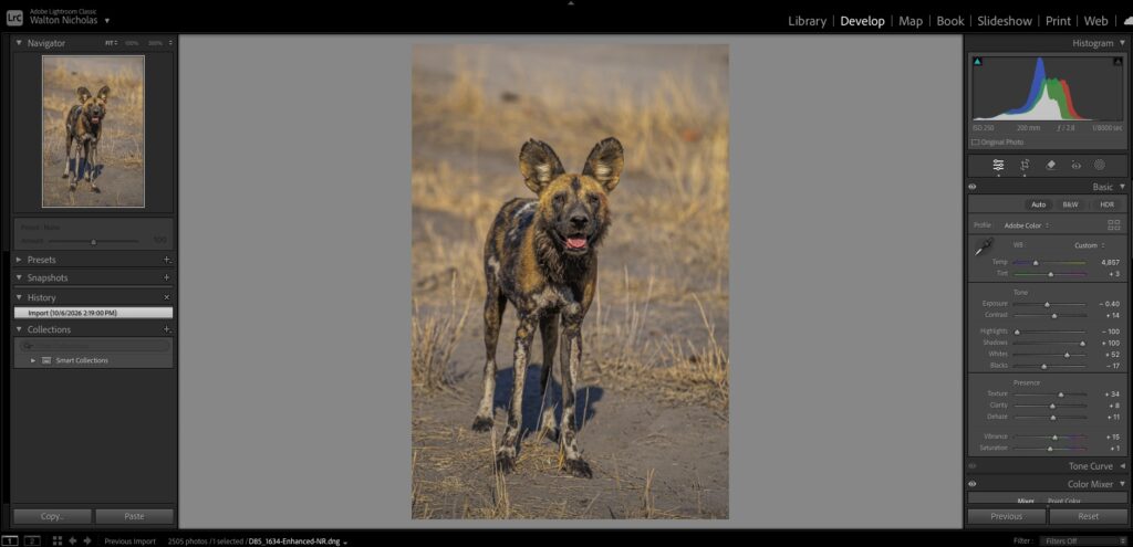 Stop Missing the Shot: The Wildlife Photography Secrets the Pros Use on Safari