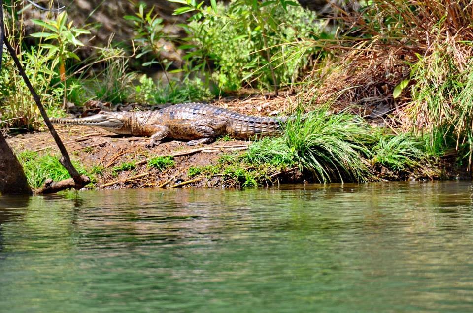 The Best Expedition Cruise Destinations for 2027–2028: Where the World's Great Wildernesses Begin