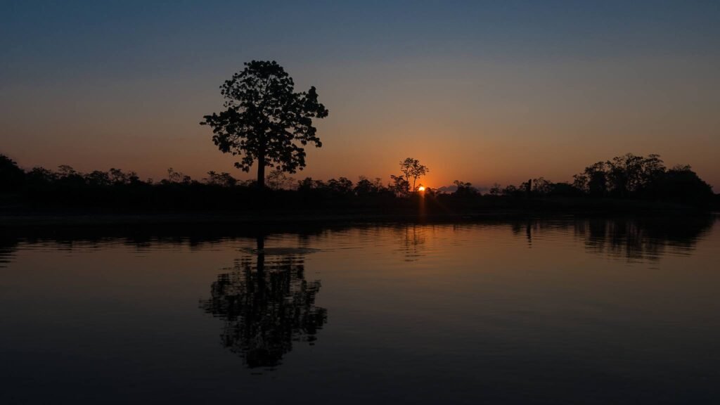 Cruising the Peruvian Amazon: An Unforgettable Journey into the World's Greatest River