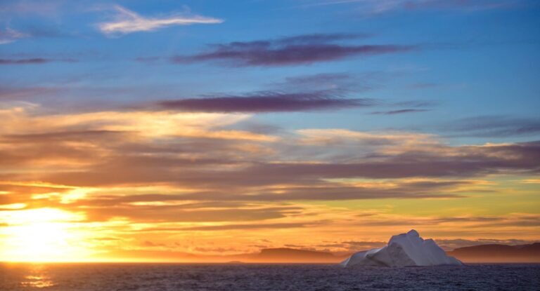 The Route of the Polar Bear: Navigating the Northwest Passage