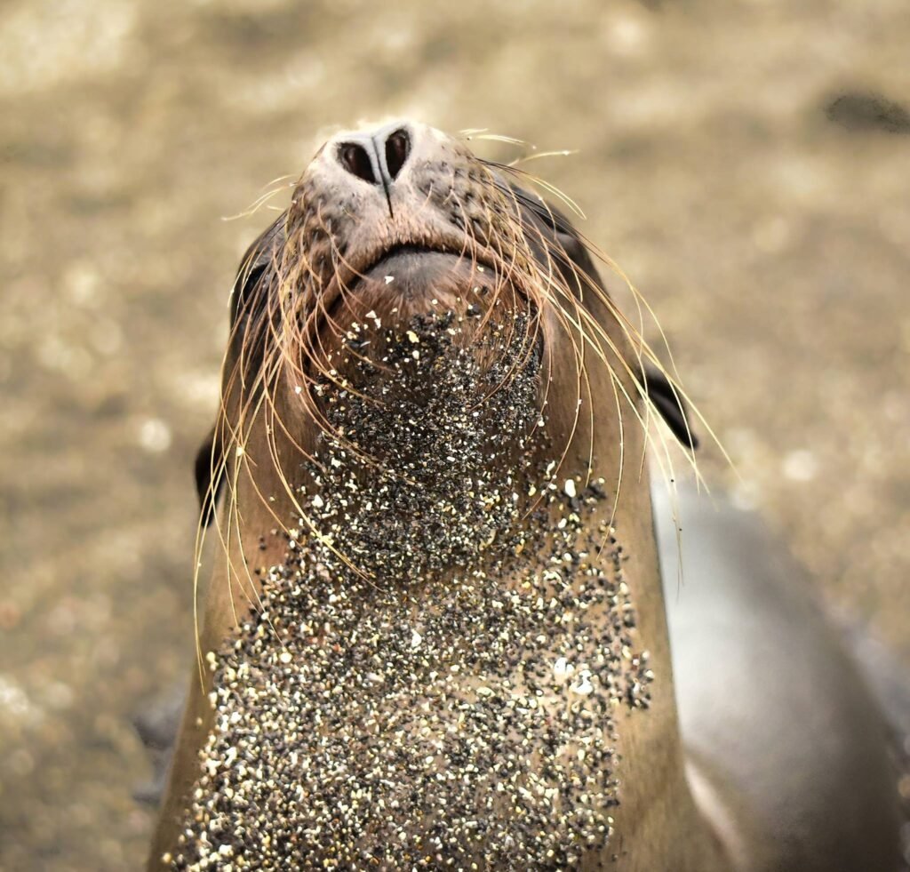 Galápagos Islands Cruise: Exploring the World's Last Great Wilderness with Lindblad Expeditions–National Geographic