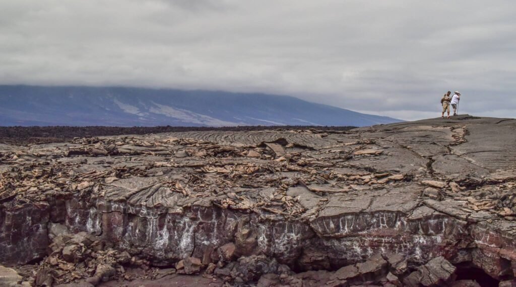 Photography Tips for the Galápagos Islands