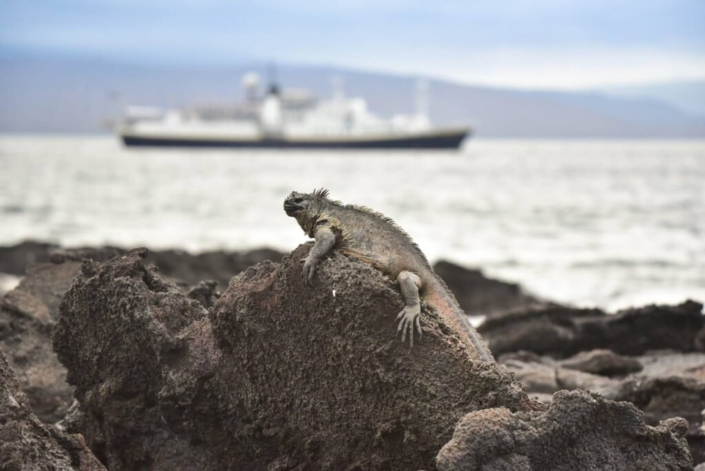 Photography Tips for the Galápagos Islands