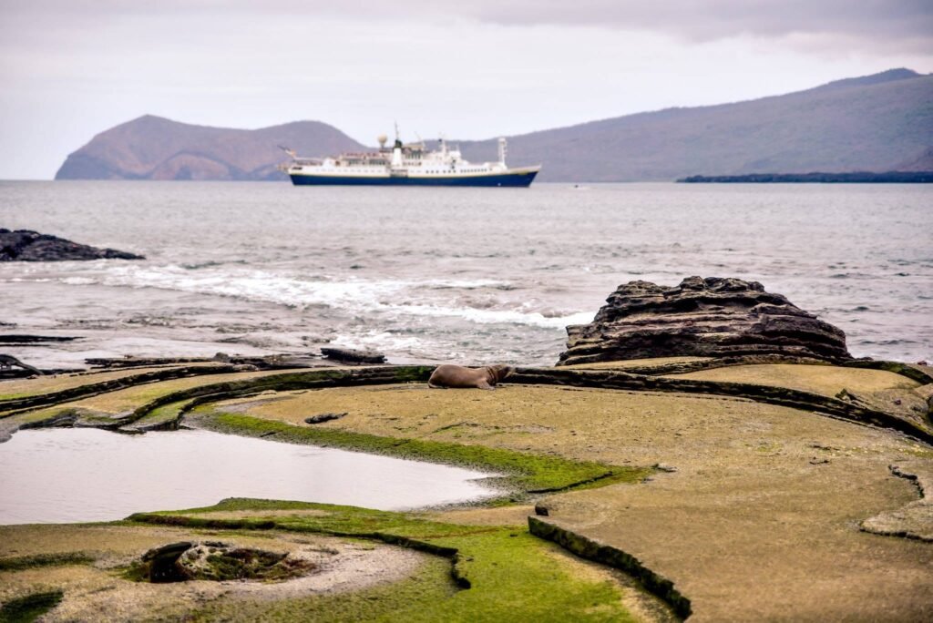 Galápagos Islands Cruise: Exploring the World's Last Great Wilderness with Lindblad Expeditions–National Geographic