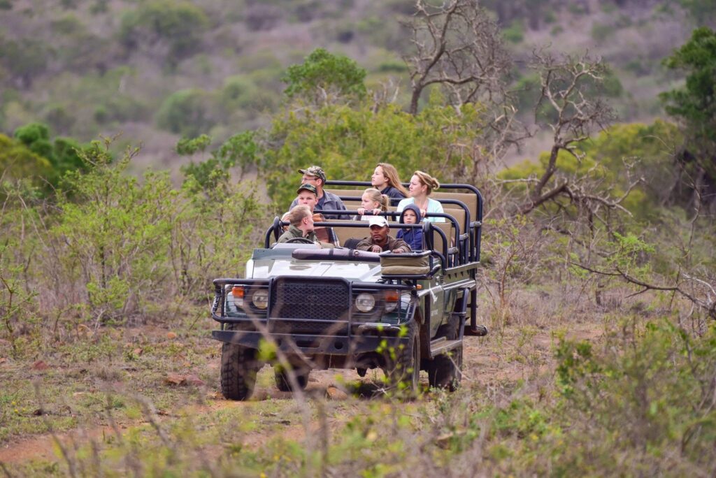 Wild at Heart: Why South Africa Remains Africa's Greatest Safari Destination