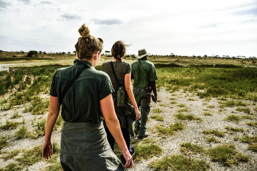 Why a Luxury Safari Could Be Your Best-Ever Trip