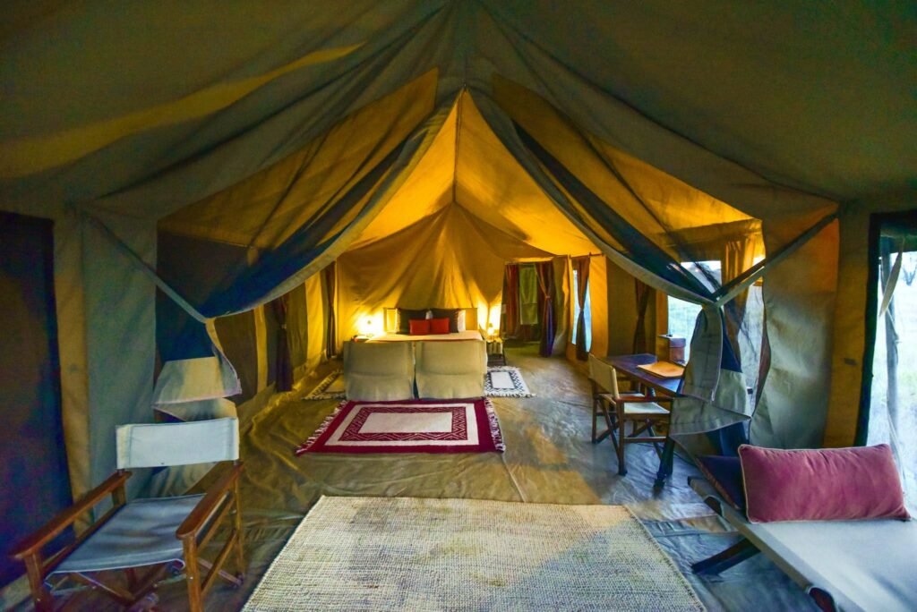 Why a Luxury Safari Could Be Your Best-Ever Trip