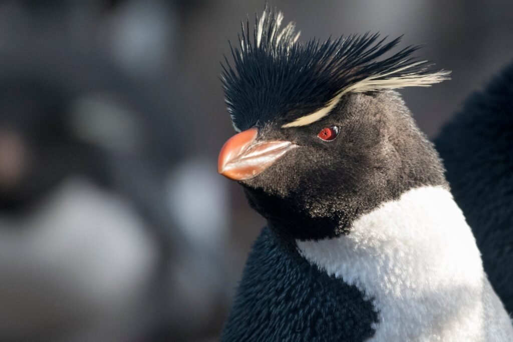 The Best Expedition Cruise Destinations for 2027–2028: Where the World's Great Wildernesses Begin