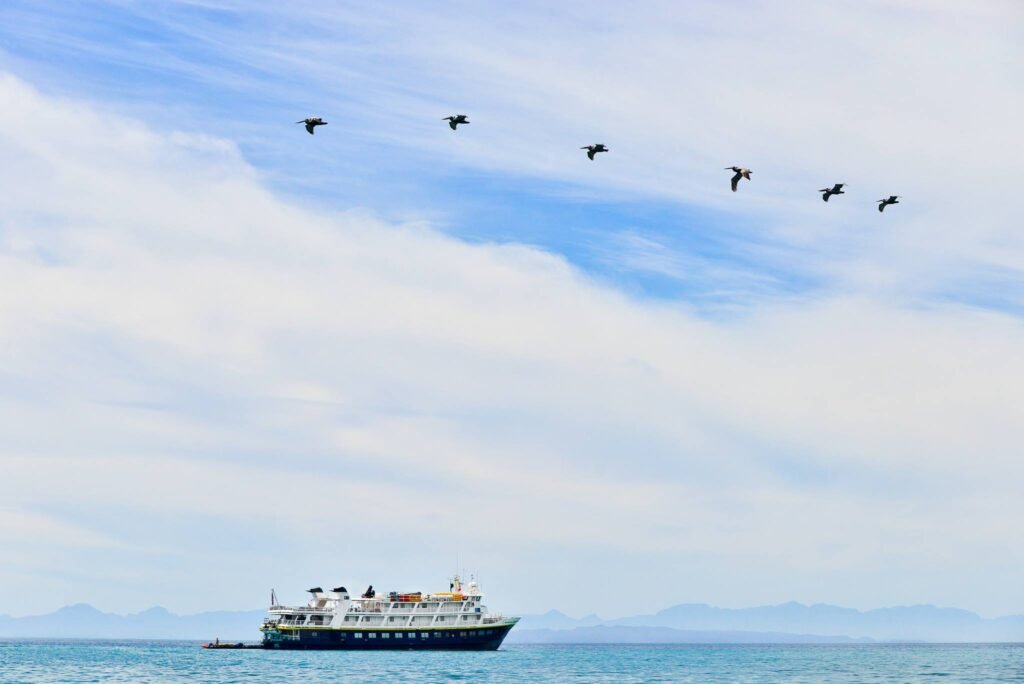 Sailing the Sea of Cortez: An Expedition Through the World's Greatest Marine Wilderness