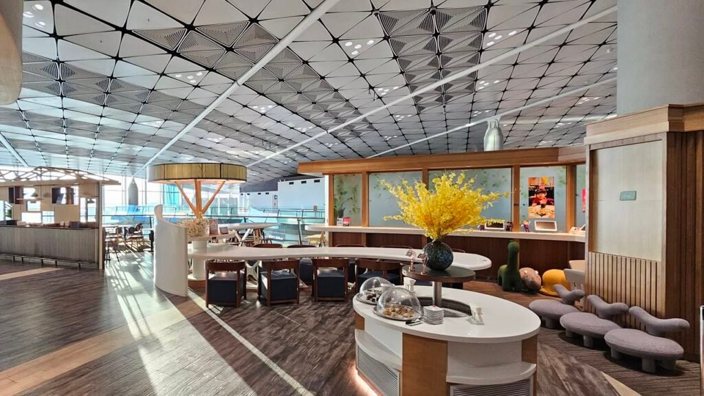 Etihad Business Class Review: Flying Hong Kong to Abu Dhabi on the Boeing 787 Dreamliner