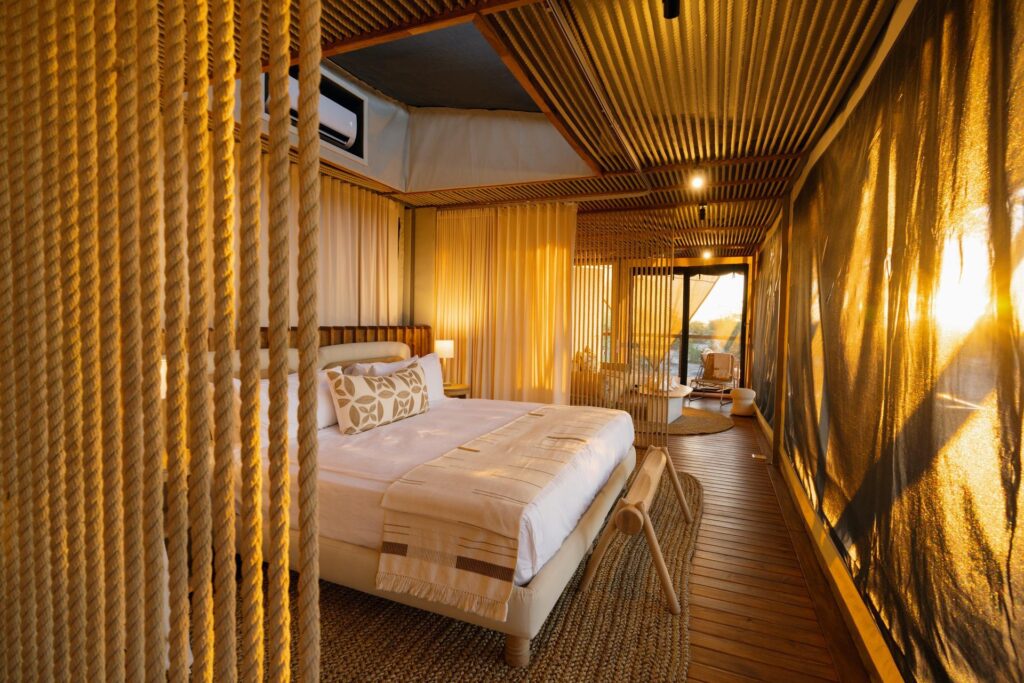 The World's Most Extraordinary Safari: The Best Luxury Lodges and Camps in the Okavango Delta