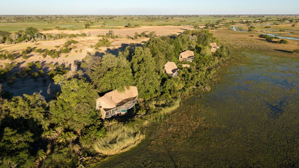 The World's Most Extraordinary Safari: The Best Luxury Lodges and Camps in the Okavango Delta