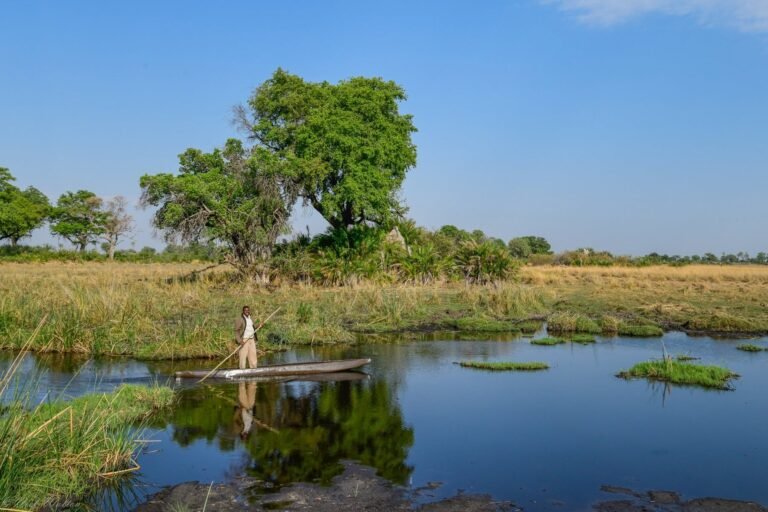 The World's Most Extraordinary Safari: The Best Luxury Lodges and Camps in the Okavango Delta