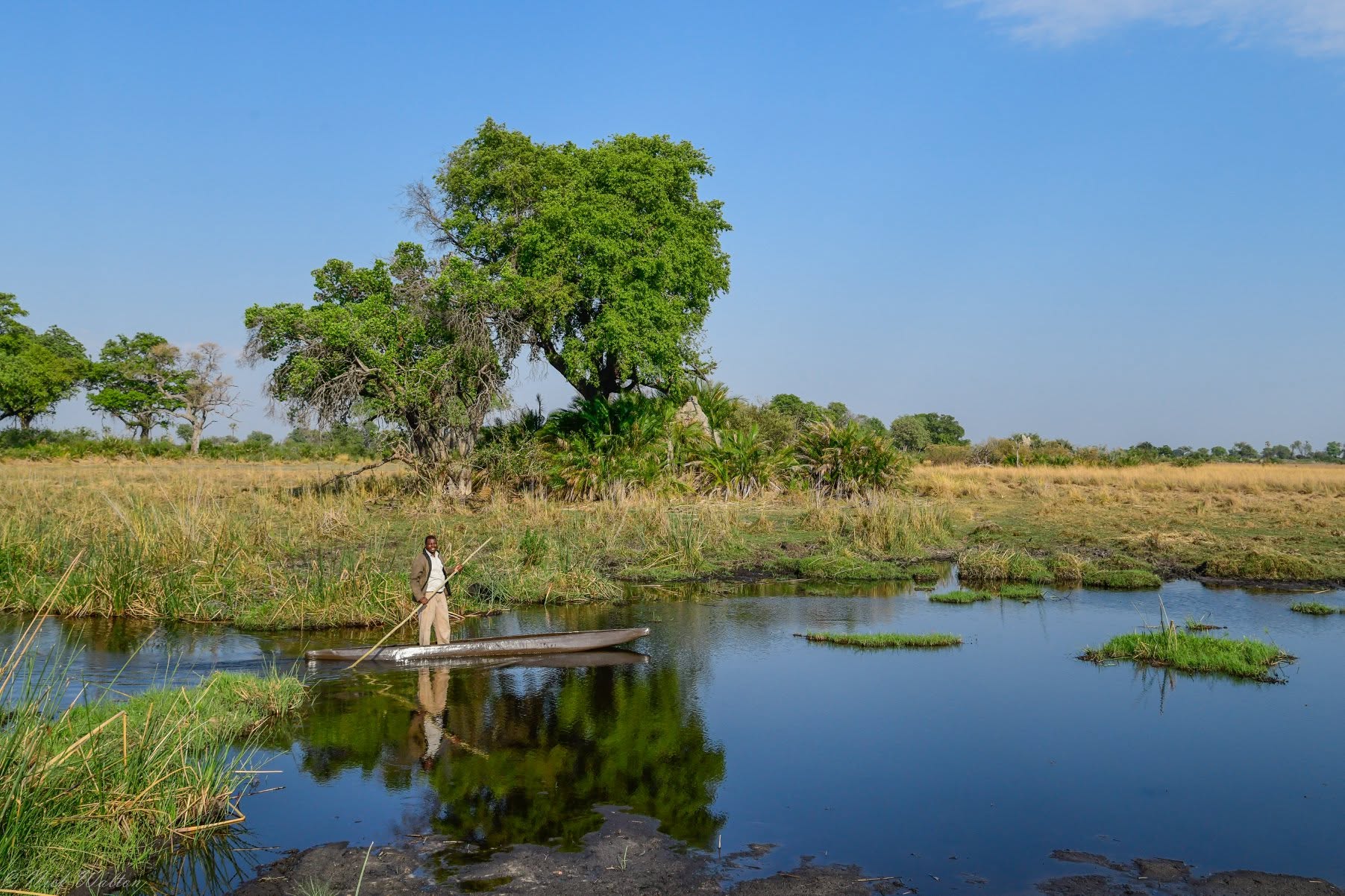 The World's Most Extraordinary Safari: The Best Luxury Lodges and Camps in the Okavango Delta