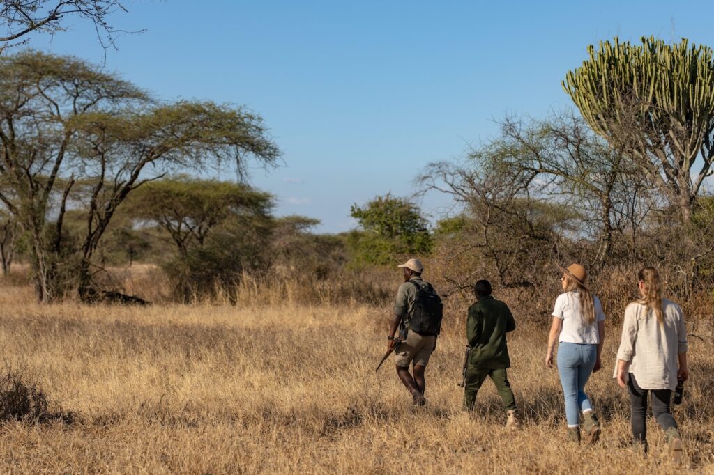 What to Pack for a Luxury Safari: The Definitive Guide