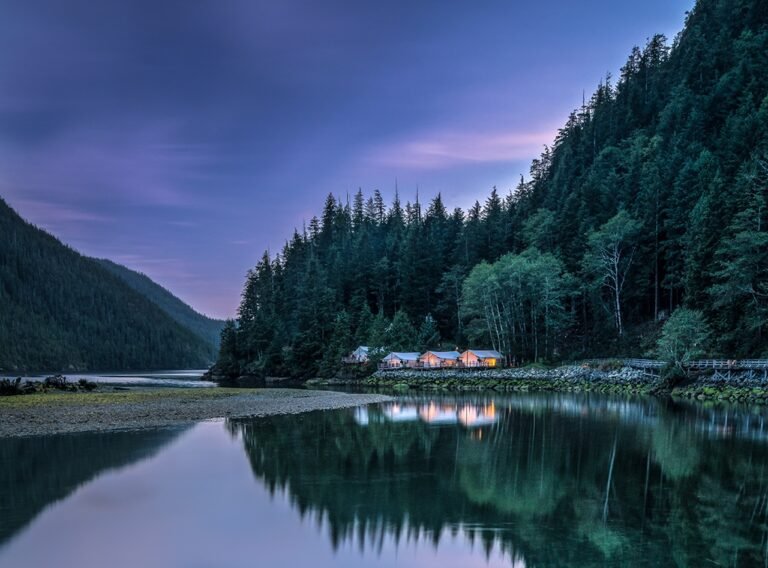 Clayoquot Wilderness Lodge Opens Its 2026 Season with Bioluminescent Kayaking and New Wilderness Experiences