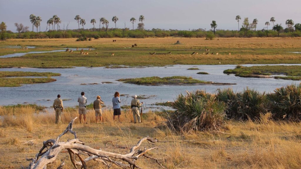 The World's Most Extraordinary Safari: The Best Luxury Lodges and Camps in the Okavango Delta