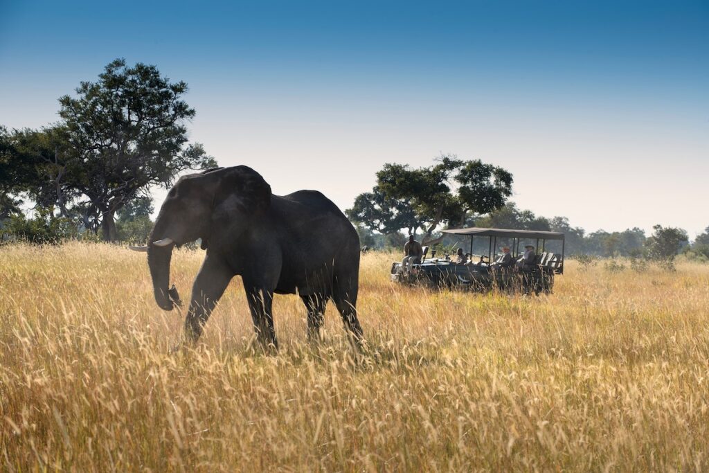 The World's Most Extraordinary Safari: The Best Luxury Lodges and Camps in the Okavango Delta