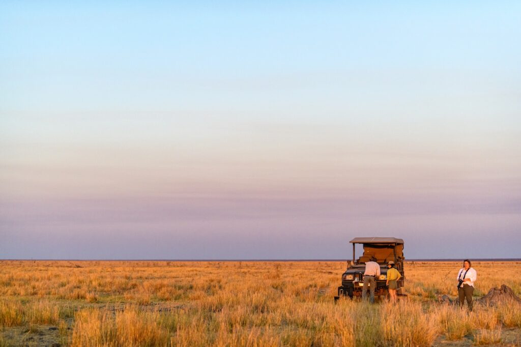 The World's Most Extraordinary Safari: The Best Luxury Lodges and Camps in the Okavango Delta