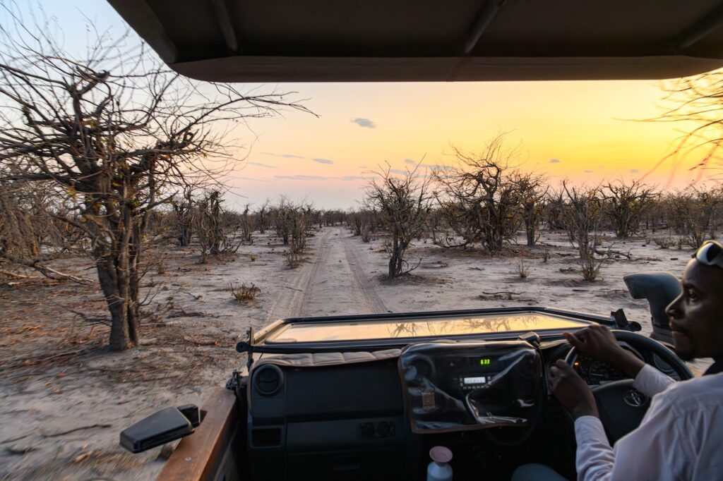 What to Pack for a Luxury Safari: The Definitive Guide