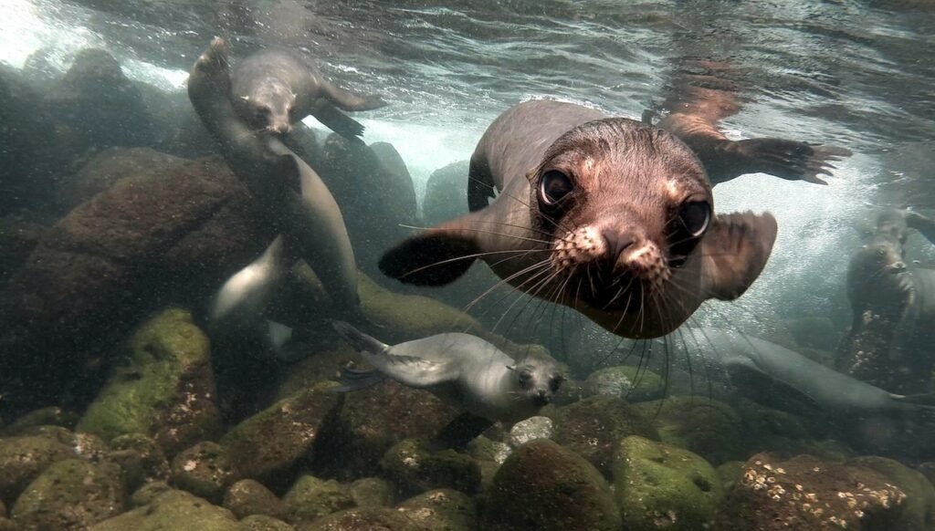 These Are the Best Luxury Cruise Lines in the Galápagos