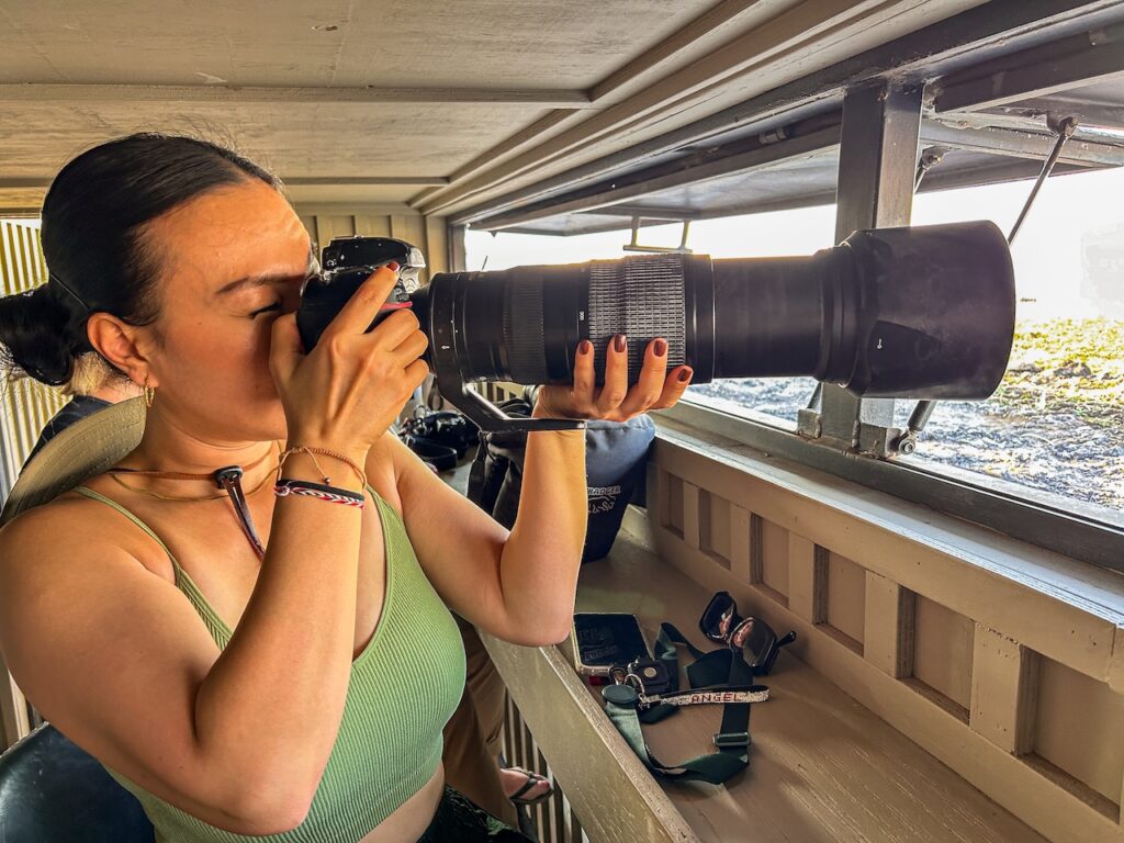 Stop Missing the Shot: The Wildlife Photography Secrets the Pros Use on Safari