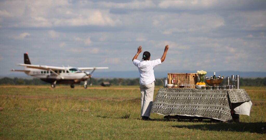 The Best Luxury Lodges and Mobile Camps in the Serengeti: A Definitive Guide for 2027