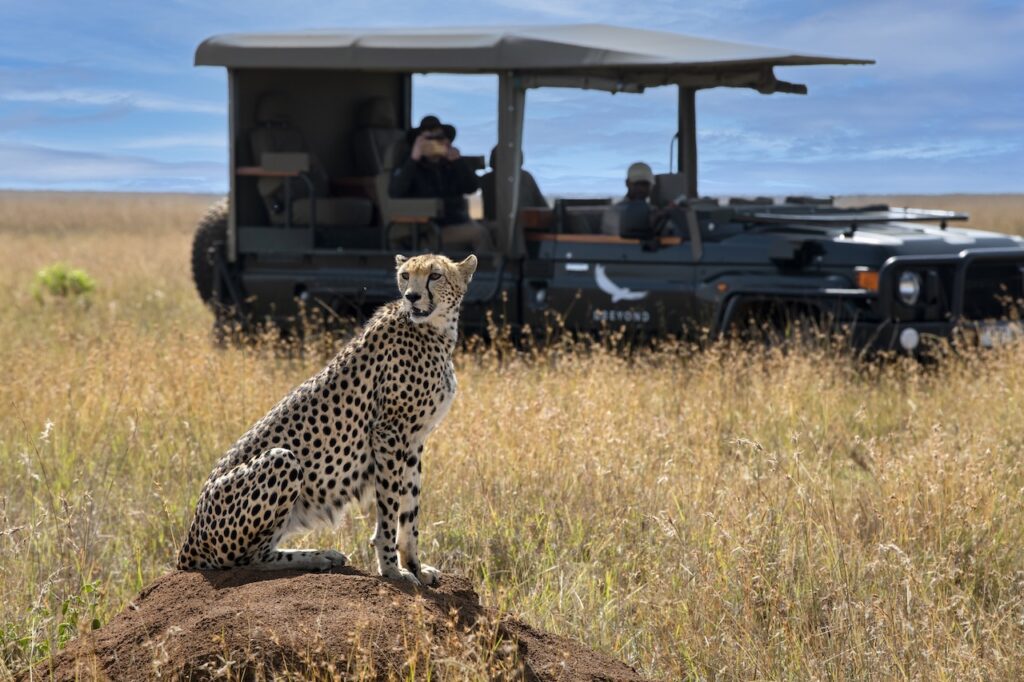 A 17,000-hectare private conservancy, complete exclusivity, rare northern wildlife and a design aesthetic unlike anything else in East Africa — &Beyond's newest lodge is rewriting the rules of the Kenyan safari.