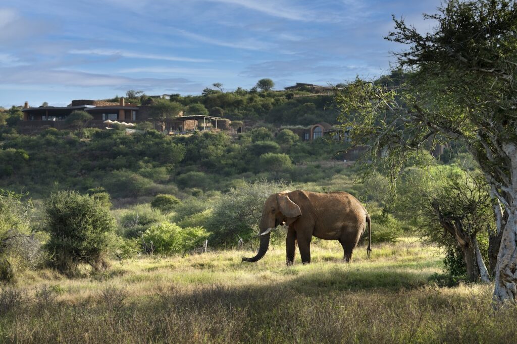 A 17,000-hectare private conservancy, complete exclusivity, rare northern wildlife and a design aesthetic unlike anything else in East Africa — &Beyond's newest lodge is rewriting the rules of the Kenyan safari.