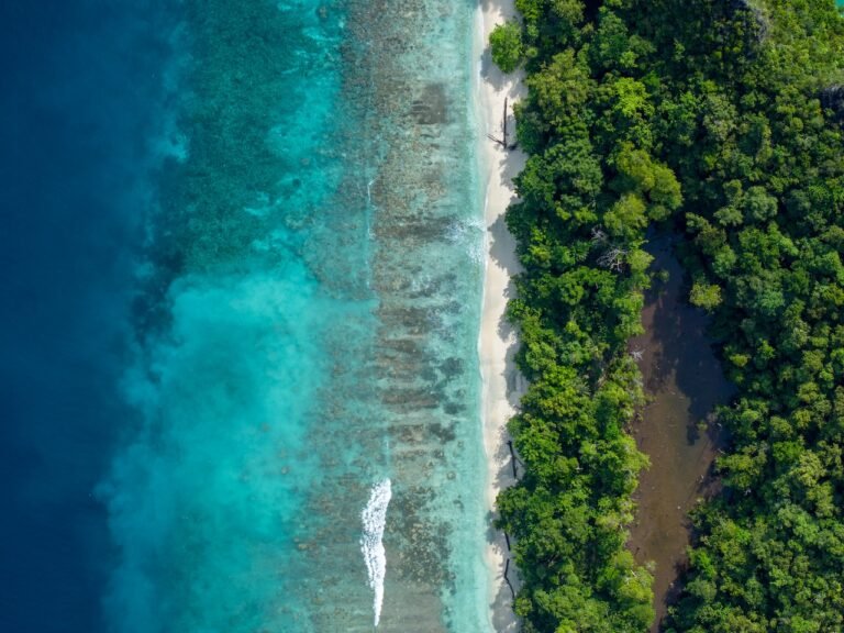 The Best Expedition Cruise Destinations for 2027–2028: Where the World's Great Wildernesses Begin