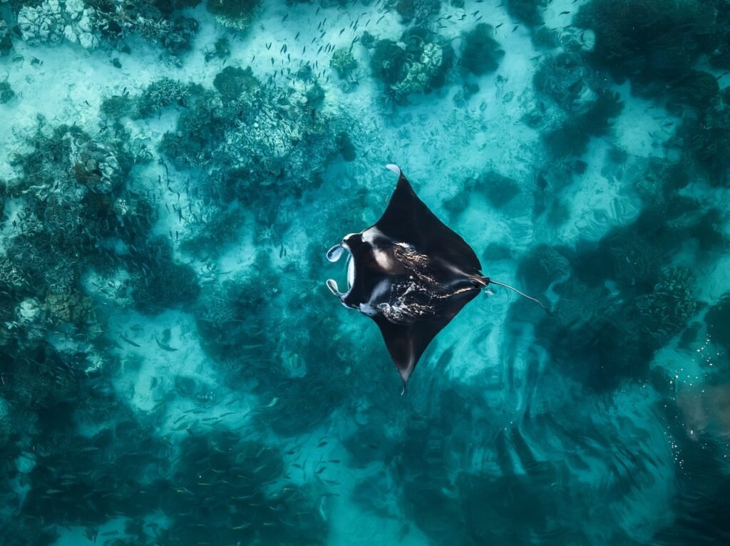 The Best Expedition Cruise Destinations for 2027–2028: Where the World's Great Wildernesses Begin