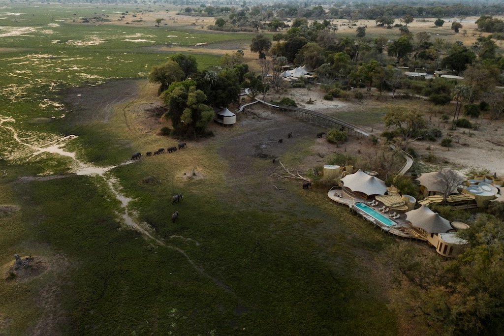 The World's Most Extraordinary Safari: The Best Luxury Lodges and Camps in the Okavango Delta