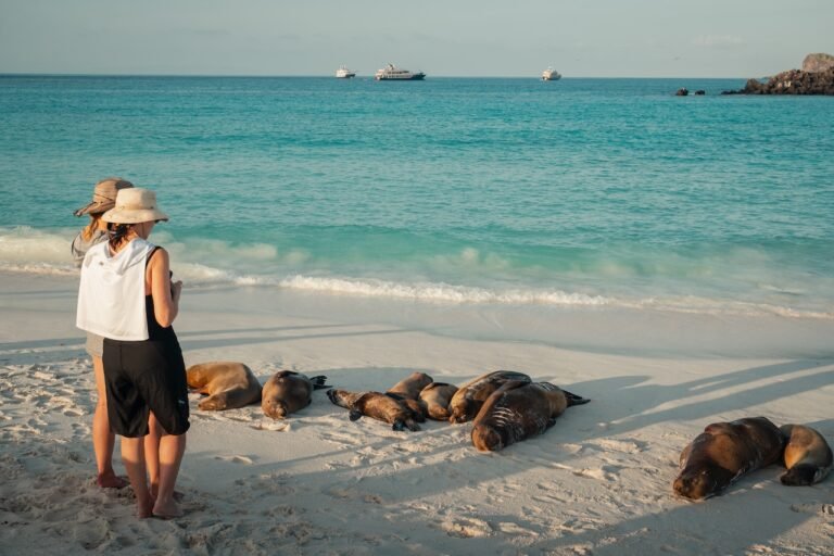 These Are the Best Luxury Cruise Lines in the Galápagos