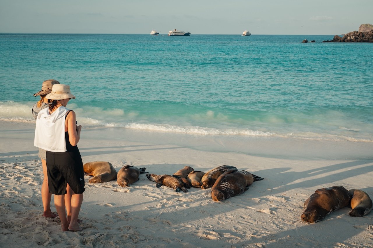 These Are the Best Luxury Cruise Lines in the Galápagos