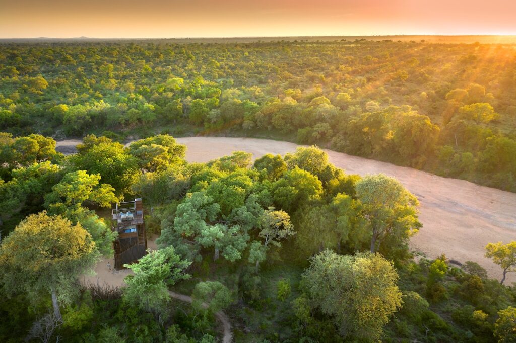 Wild at Heart: Why South Africa Remains Africa's Greatest Safari Destination