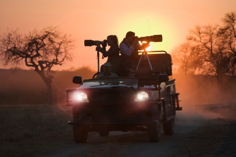 Photography Tips for a Luxury Safari