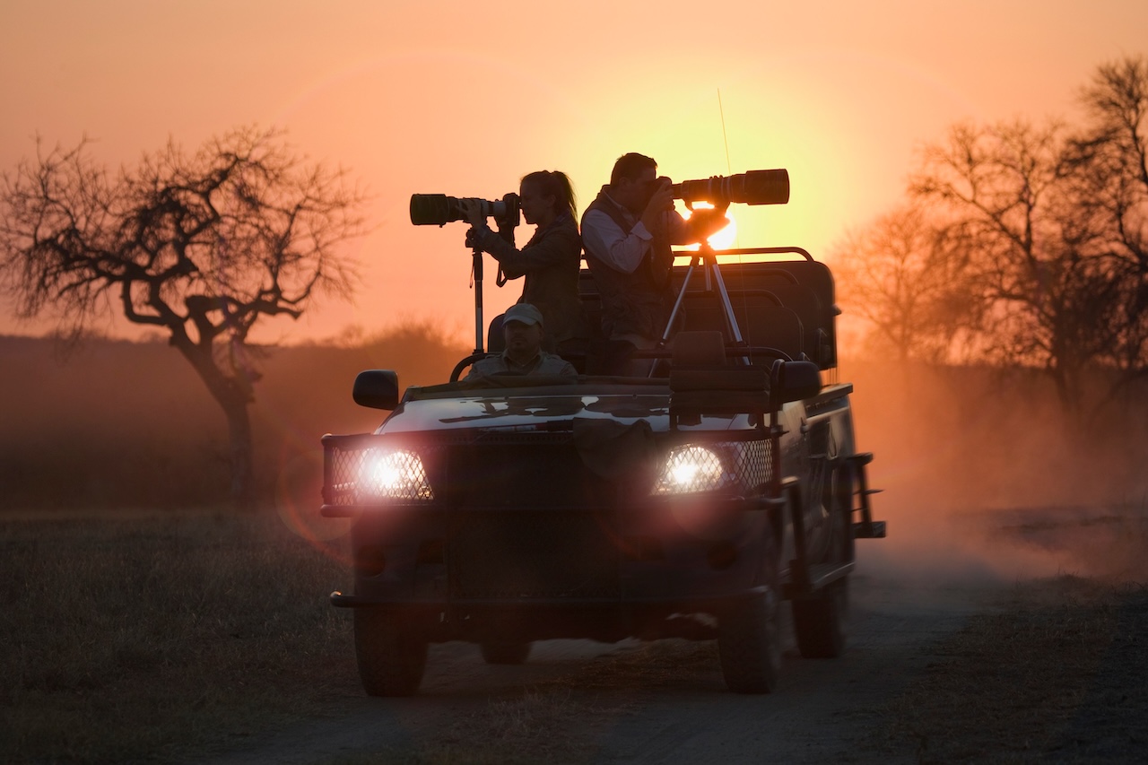 Photography Tips for a Luxury Safari