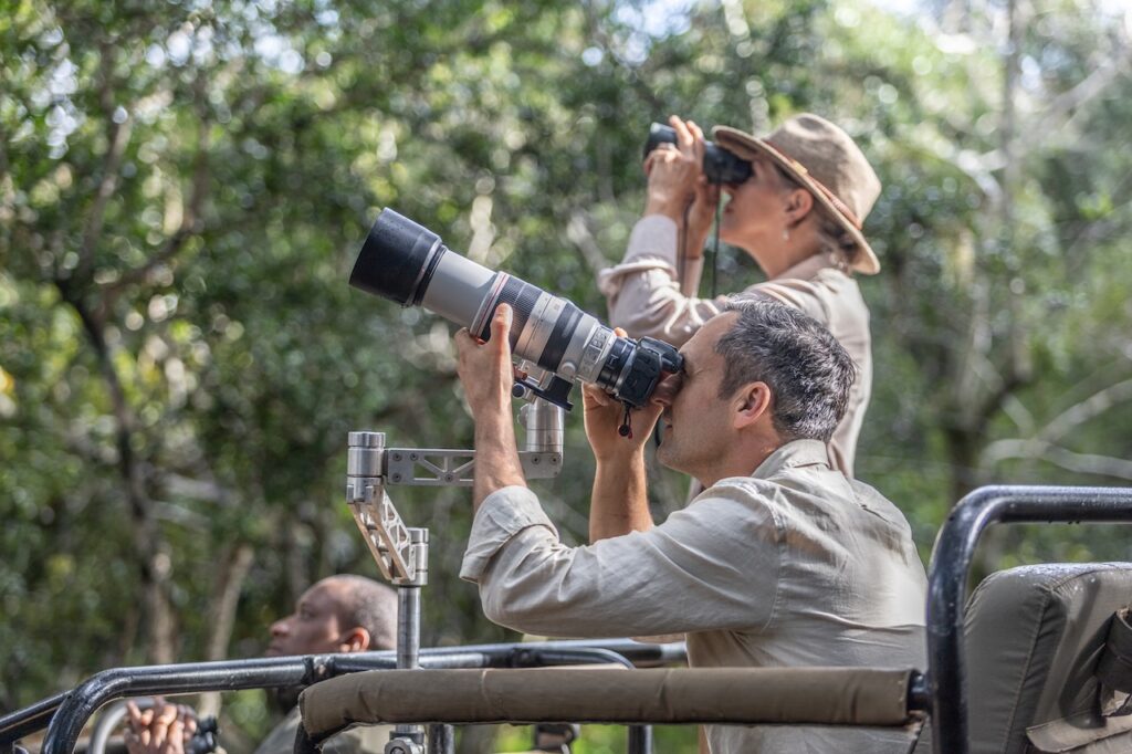 Stop Missing the Shot: The Wildlife Photography Secrets the Pros Use on Safari