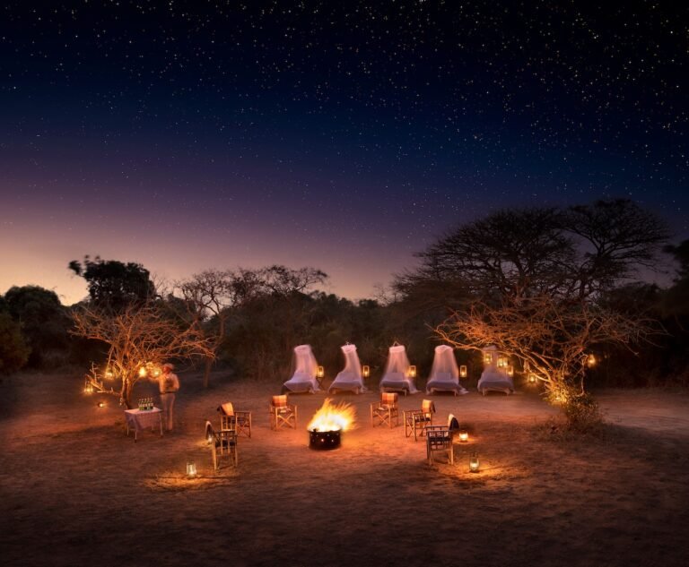 Wild at Heart: Why South Africa Remains Africa's Greatest Safari Destination