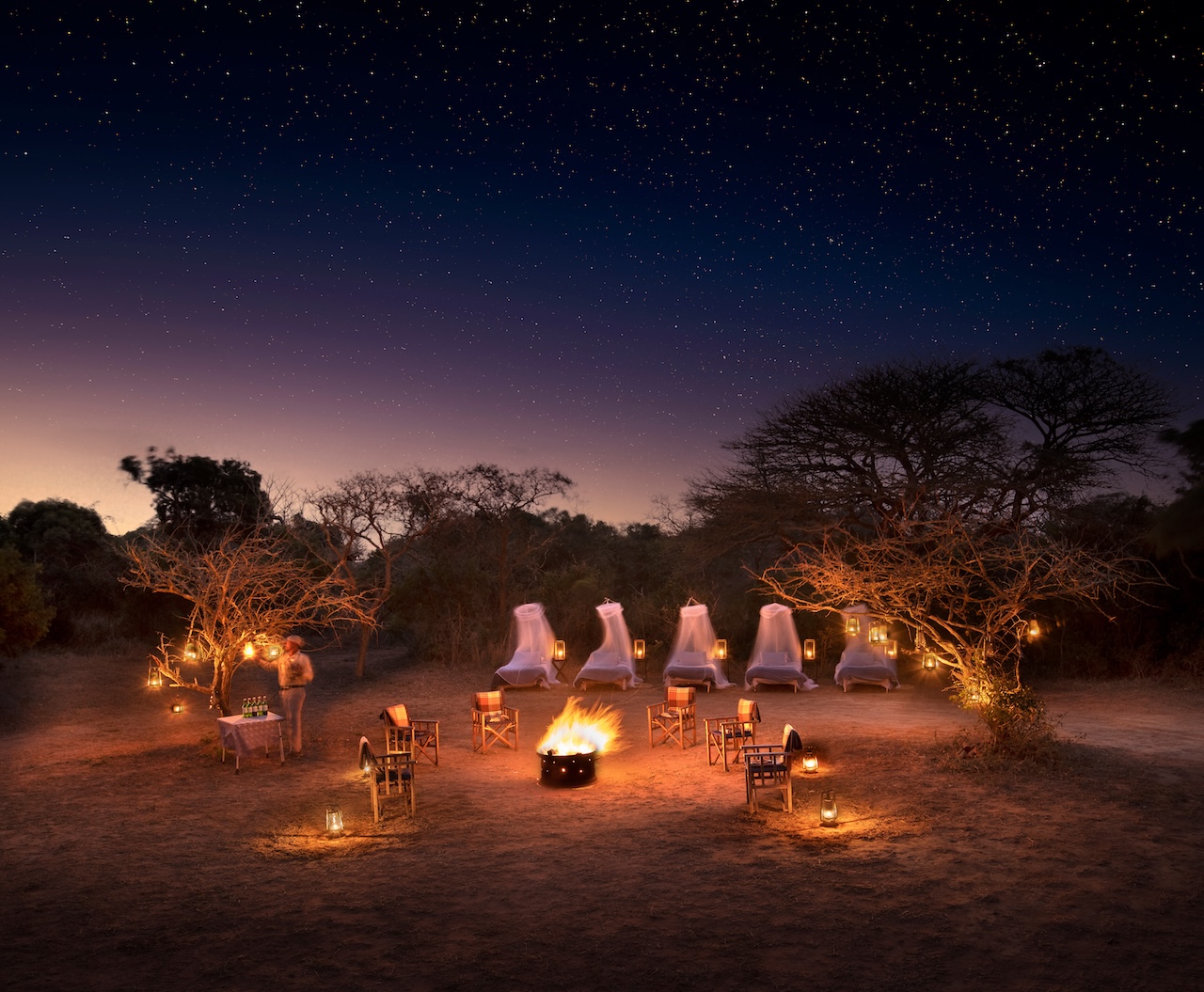 Wild at Heart: Why South Africa Remains Africa's Greatest Safari Destination