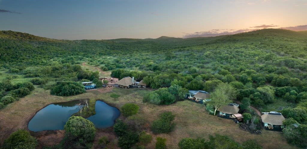 Wild at Heart: Why South Africa Remains Africa's Greatest Safari Destination