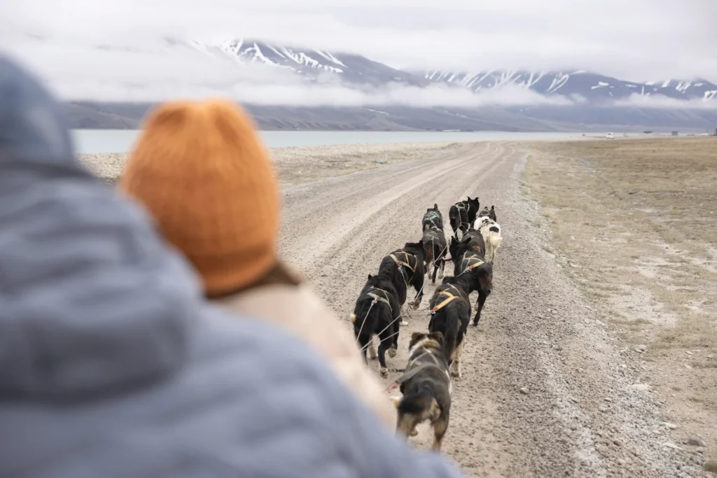 Best Luxury Cruise Lines in Svalbard for 2027
