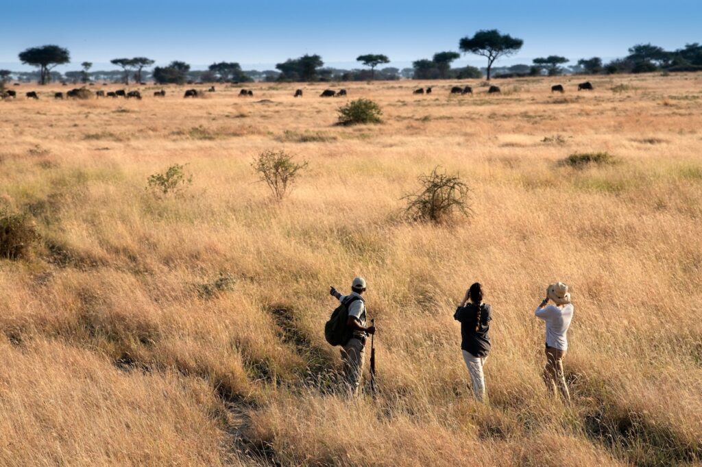 The Best Luxury Lodges and Mobile Camps in the Serengeti: A Definitive Guide for 2027